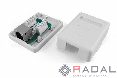 Розетка компьютерная 1-м ОП Dual IDC SB1-1-8P8C-C5e-SH-WH RJ45 (8P8C) кат.5E экранир. Hyperline 430229