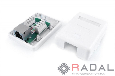 Розетка компьютерная 1-м ОП Dual IDC SB1-1-8P8C-C6-SH-WH RJ45 (8P8C) кат.6 экранир. Hyperline 430236