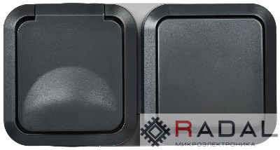 Блок ОП розетка + выключ. горизонт. TORS 16А IP55 TS142 графит IEK TS-G10-6-55-V-K53