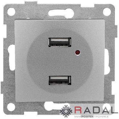 Розетка USB 2-м СП Bravo механизм серебр. GUSI С10USB2-004