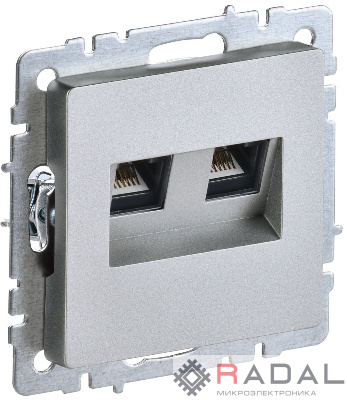 Розетка компьютерная двойная СП RJ45 кат.5E BRITE РК10-2-БрА алюм. IEK BR-K20-1-K47
