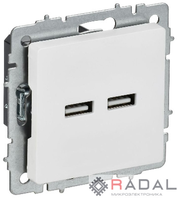 Розетка BRITE РЮ10-1-БрАБ USB A+A 3.1А механизм арктич. бел. IEK BR-U21-D31-K91