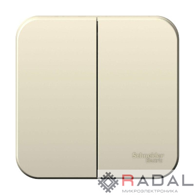 Выключатель 2-кл. ОП Blanca 10А IP20 (сх. 5) 250В с изолир. пластиной молочн. SE BLNVA105012