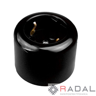 Розетка двухполюсная с ЗК R пластик черн. Bironi R1-101-23