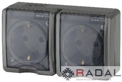 Розетка 2-м ОП Эра Эксперт 11-2404-03 16А IP54 16AX 250В 2х2P+E защ. шторки сер. Эра Б0020719