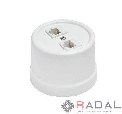 Розетка компьютерная 2-м ОП Лизетта RJ45 10А IP20 ретро кат.5E керамика бел. Bironi B1-302-01