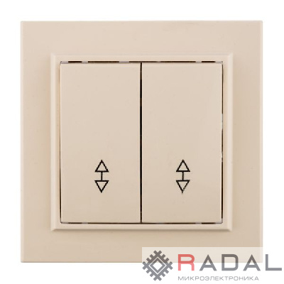 Переключатель проходной 2-кл. СП Минск 10А IP20 беж. EKF ERV10-026-20