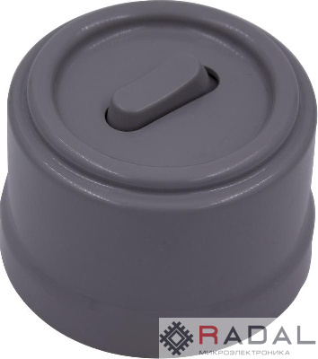 Выключатель 1-кл. (клавишный) пластик титан Bironi B1-220-26