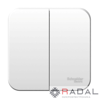 Выключатель 2-кл. ОП Blanca 6А IP20 (сх. 5) 250В с изолир. пластиной бел. SE BLNVA065011