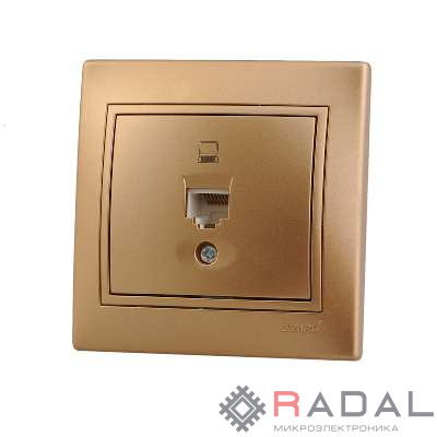 Розетка компьютерная 1-м СП Мира RJ45 метал. зол. Lezard 701-1313-139