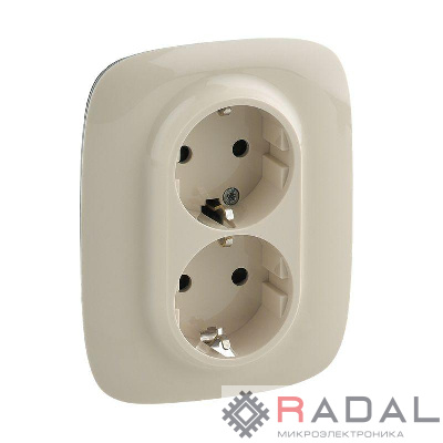 Розетка 2-м СП Valena Allure 16А IP20 250В 2х2P+E защ. шторки безвинт. клеммы с лицев. панелью сл. кость Leg 753826