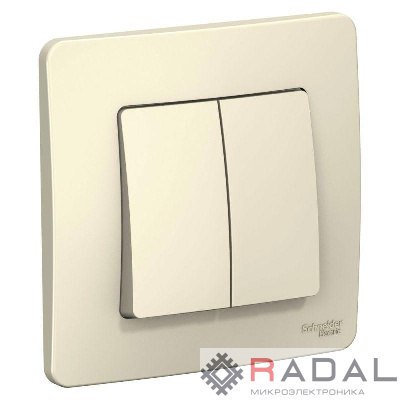 Выключатель 2-кл. СП Blanca 10А IP20 (сх. 5) 250В молочн. SE BLNVS010502