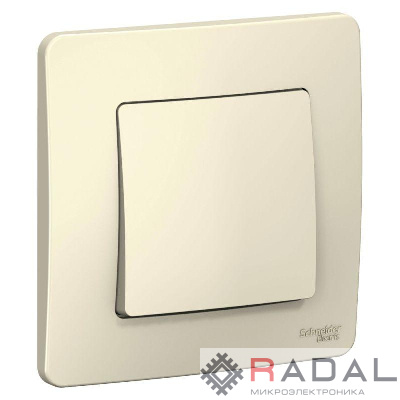Выключатель 1-кл. СП Blanca 10А IP20 (сх. 1) 250В молочн. SE BLNVS010102