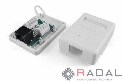 Розетка компьютерная 1-м ОП Dual IDC SB1-1-8P8C-C5e-WH RJ45 (8P8C) кат.5E Hyperline 430230