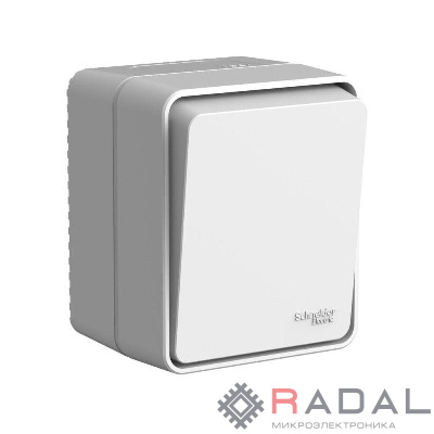 Выключатель 1-кл. ОП AtlasDesign PROFI IP54 с самовозвратом 10АХ сер. SE ATN543015